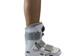 Muscles: Why are they important?